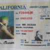 Frank Ocean License